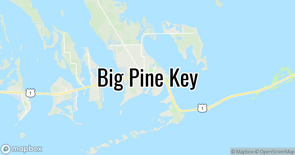 Running calendar near Big Pine Key 20242025